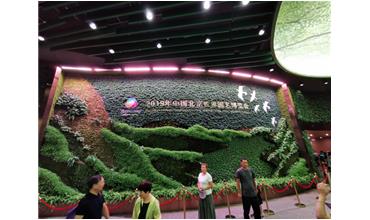 2019北京世園會，我們來啦
